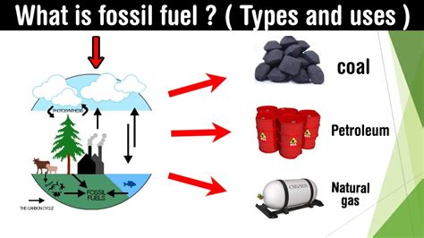 Fossil Fuels Examples In Hindi