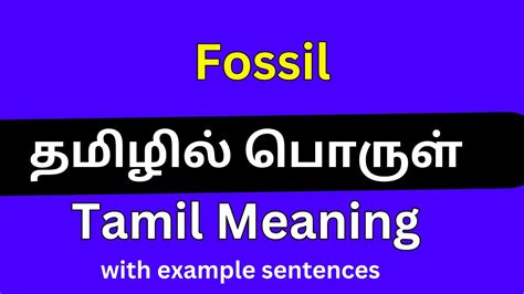 Fossil Bones Meaning In Tamil