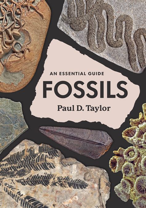 Fossil Book Definition