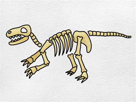 Fossil Drawing Simple