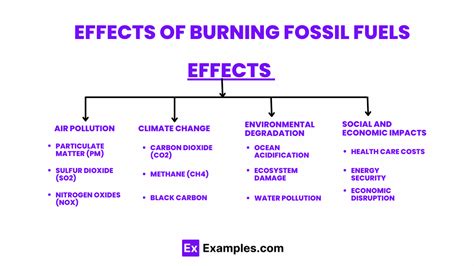 Fossil Effect Definition