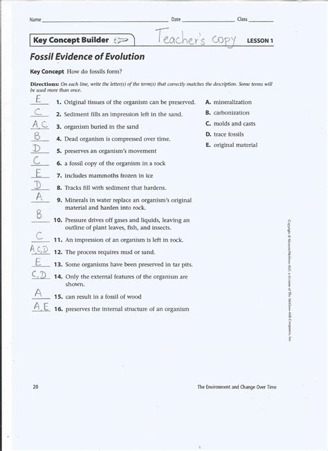Fossil Evidence Of Evolution Answer Key Lesson 1