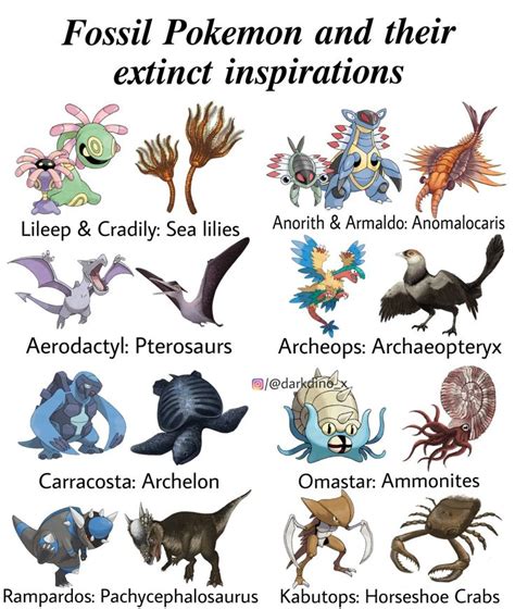 Fossil Evolution Pokemon