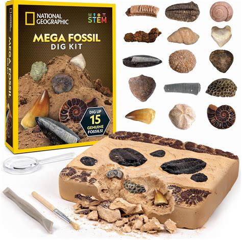 Fossil Finding Kit