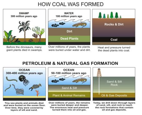Fossil Fuels Form In Which Cycle