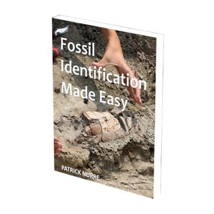 Fossil Identification Book