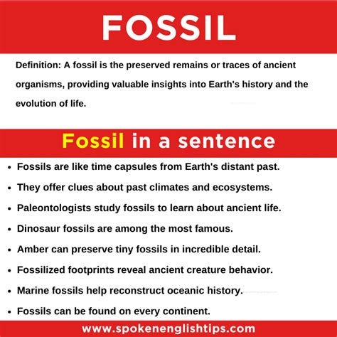 Fossil In A Scientific Sentence