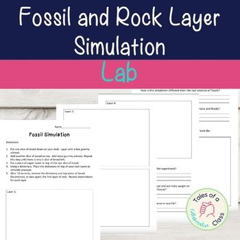 Fossil Layer Lab