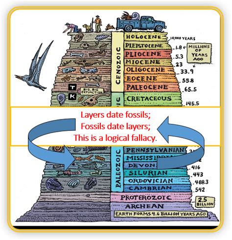 Fossil Layers Justification For Evolution