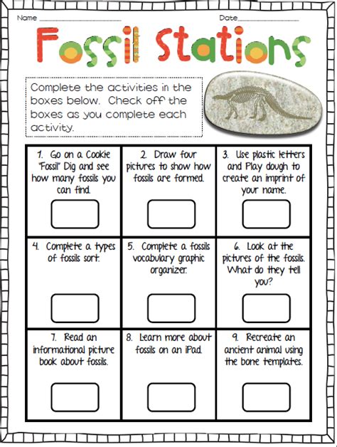Fossil Lessons For 2Nd Grade