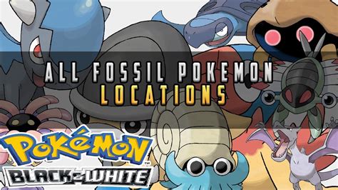 fossil pokemon black and white