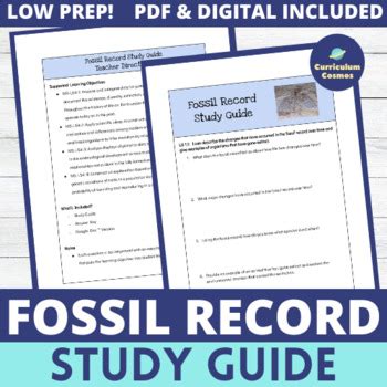 Fossil Record Lab Answer Key