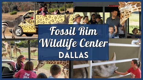 fossil rim coupons entertainment book