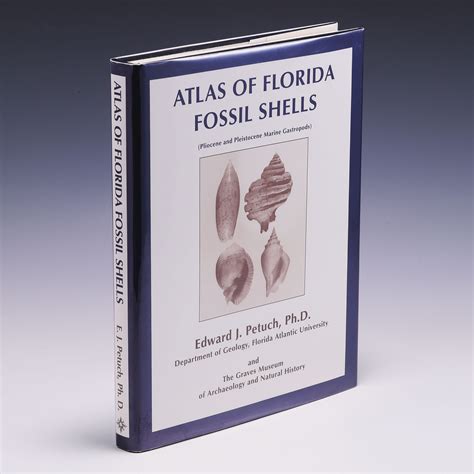 Fossil Shells Book