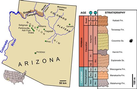 fossil sites in arizona