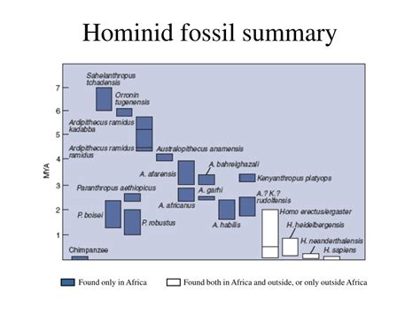 Fossil Summary