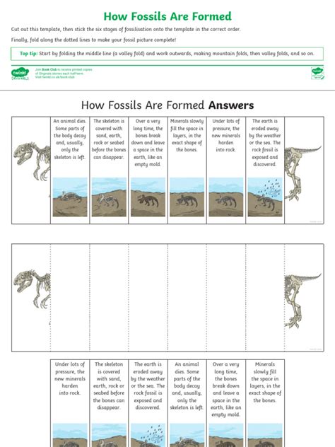 Fossil Timeline Ks2