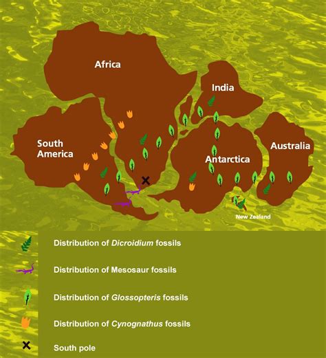 24+ map of dinosaur fossils RahmaMaisy