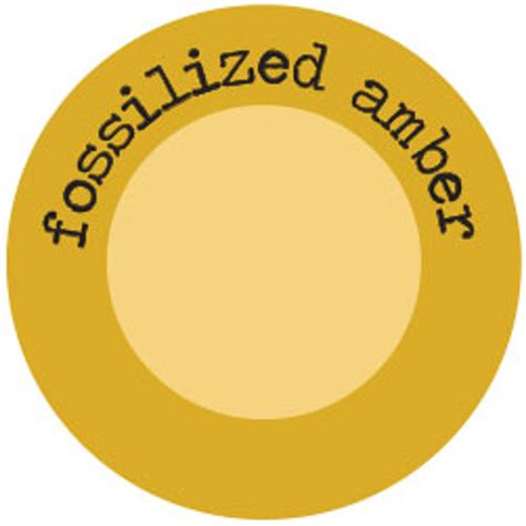 Fossilized Amber Re-Inker