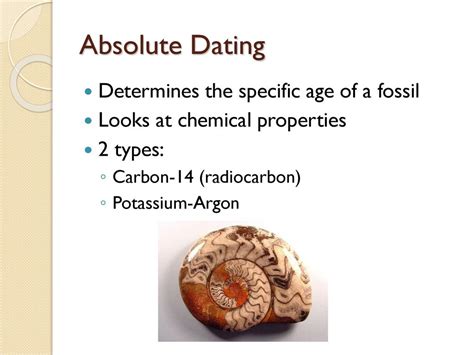Fossils Are Dated By