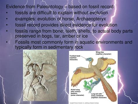 Fossils Are Most Often Identified Based On Changes In Their