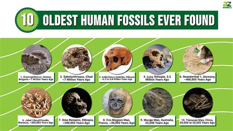 Fossils Are Not Found As