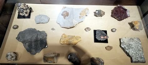 Fossils Found In Arkansas