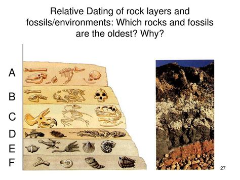 Fossils Found In Sedimentary Rock Can Be Dated According To The Layer Or