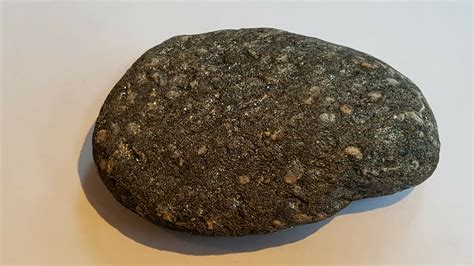 Fossils Found Metamorphic Rocks