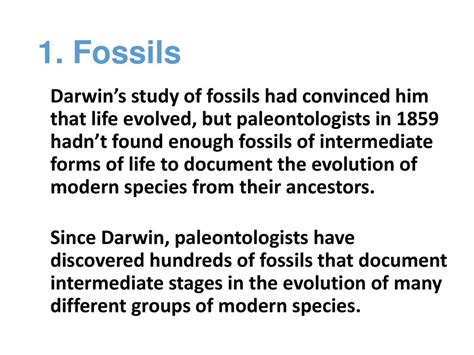Fossils From The Upper Layers Are The Ancestors Of Modern Forms