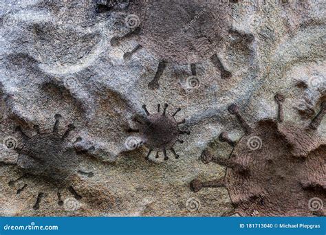Fossils In Rock Granite