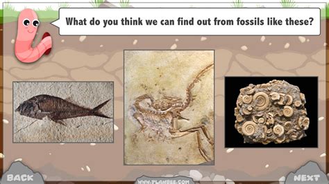 Fossils Ks2 Science