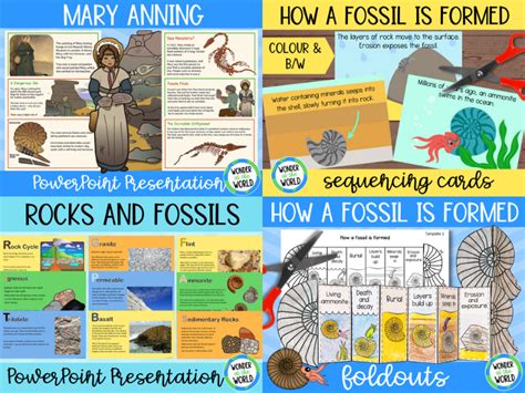 Fossils Powerpoint Ks2