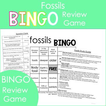Fossils Review