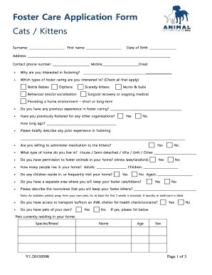 foster care application