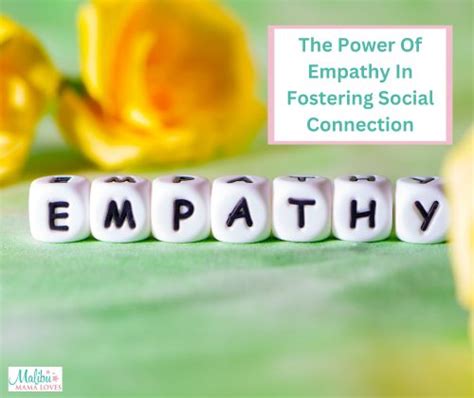 Fostering Empathy and Connection