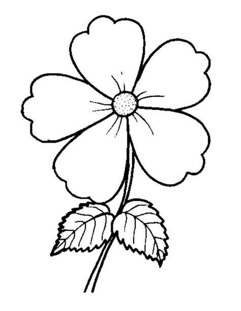 foto bunga hitam putih