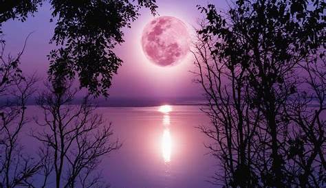 Fabulous Full Moon Photography To Keep You Fascinated - Bored Art