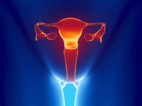 fotos de vaginas abiertas