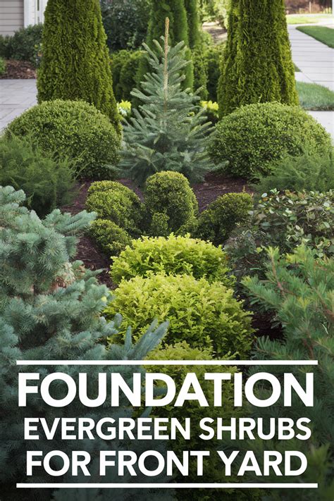 Foundation Shrub Garden