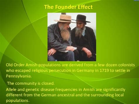 Founder Effect In Amish Population