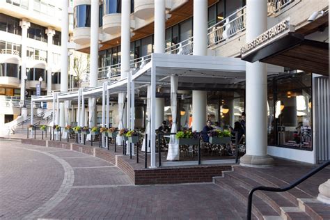 Unveiling the Secrets of Founding Fishers: A Epic Story in the Ocean's Frontier