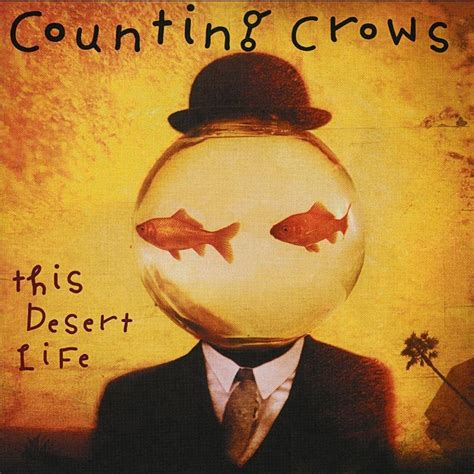four days counting crows