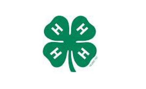 four h clover