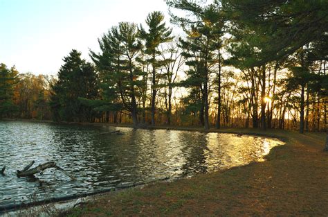four lakes forest preserve