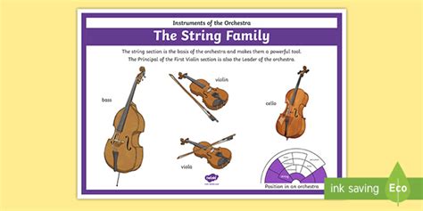 Four Main Orchestral String Instruments