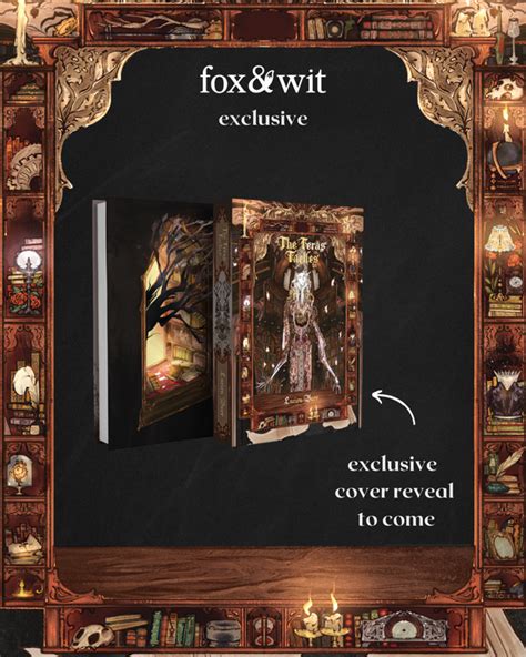 Fox And Wit Book Box