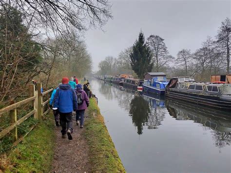 Watch Fox Catherine De Barnes 2023