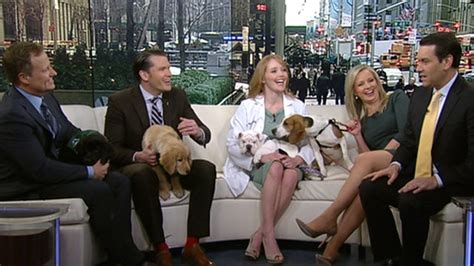 fox news dog adoption