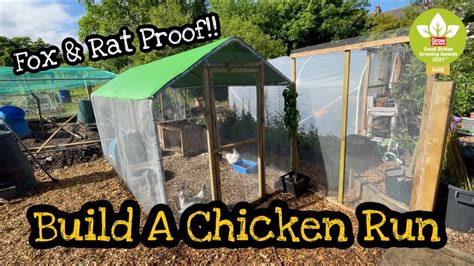 Fox Proof Chicken Run Ideas